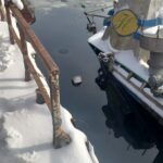 627577175_1260177609575103_2417861926102716725_n